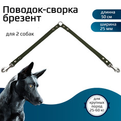 Поводок-сворка для собак Хвостатыч, брезент, зеленый, 2 х 50 см х 25 мм