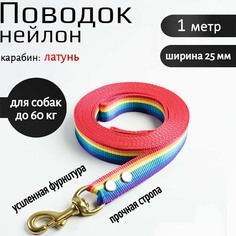 Поводок для собак Хвостатыч с латунным карабином, нейлон, радуга, 1 м х 25 мм