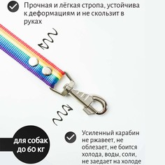 Поводок для собак Хвостатыч с карабином, нейлон, радуга, 50 см