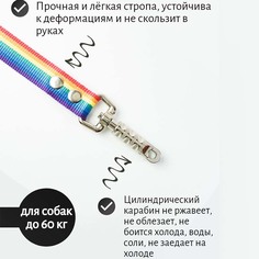 Мини-поводок для собак Хвостатыч с цилиндрическим карабином, нейлон, радуга, 50 см