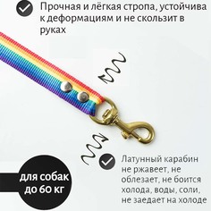 Мини-поводок для собак Хвостатыч с латунным карабином, нейлон, радуга, 50 см