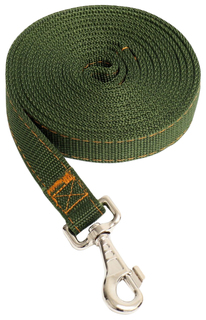 Поводок двухслойный, с усиленным карабином, 3 м х 2,5 см, зелёный Пижон