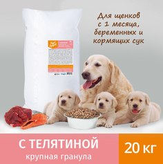 Сухой корм для собак Живая Сила Будь Здоров, крупная гранула, с телятиной, 20 кг