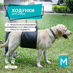 Ходунки для собак MPSALER, размер M, чёрный, нейлон