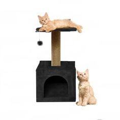 Домик когтеточка Pet БМФ для кошки, 35х35х62 см, чёрный