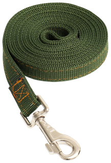 Поводок двухслойный, с усиленным карабином, 2 м х 2 см, зелёный Пижон