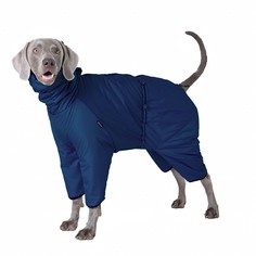 Комбинезон для собак Монморанси, утепленный, темно-синий, дюспо, длина спины 46 см