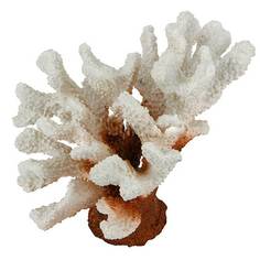 Декорация для аквариума Vitality Коралл пластиковый белый 13х5х11,5 см