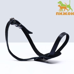 Намордник для собак Пижон, для средних пород, черный, кожаный, 100 х 1,6 см