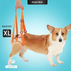 Ходунки для собак MPSALER, размер XL, бежевый, нейлон