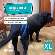 Ходунки для собак MPSALER, размер XL, чёрный, нейлон