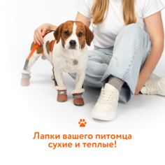 Подтяжки для обуви для собак Щенячье Счастье, унисекс, черный, оранжевый, нейлон, размер S