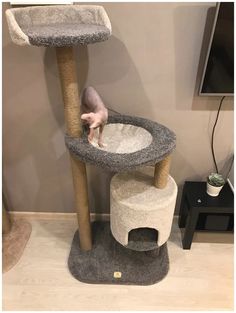 Комплекс для кошек Моя Котя Эльдорадо игровой, с когтеточкой, серо-серебристый, 145 см