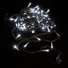 Световая гирлянда новогодняя Beauty Led LL100-1-2W 10 м белый холодный Laitcom