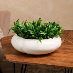 Цветочное кашпо Керамика ручной работы Бонсайница 9240999 4 л белый 1 шт.