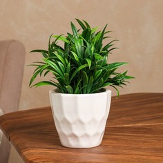 Цветочный горшок Керамика ручной работы Геометрия 9240997 0,35 л белый 1 шт.