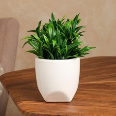 Цветочное кашпо Керамика ручной работы Стандарт 9240996 1 л белый 1 шт.