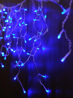 IC80LD-B-E Гирлянда Бахрома 80 син LED 2х0,48м,соед, внутр SH Lights
