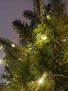 LDM100WW Новогодняя гирлянда Нить декоративная, SH Lights