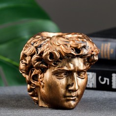 Цветочное кашпо Хорошие сувениры Голова давида Р00013442 1,5 л бронза 1 шт.