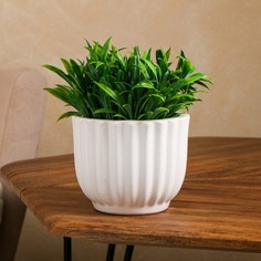 Цветочное кашпо Керамика ручной работы Стандарт Р00006496 0,9 л белый 1 шт.