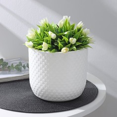 Plast-Avenue Кашпо со вставкой Клевер, 3,2 л, d=17,5 см, h=16 см, цвет белый