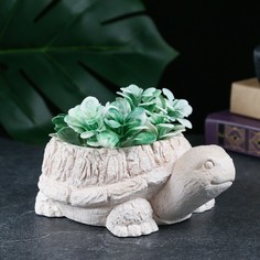 Хорошие сувениры Фигурное кашпо "Черепаха" слоновая кость, 14х8х10см