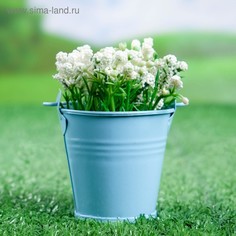 Кашпо "Ведерко Томми" голубое, 6х6см(5 шт.) Take It Easy