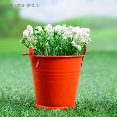 Кашпо "Ведерко Томми" красное, 6х6см(5 шт.) Take It Easy