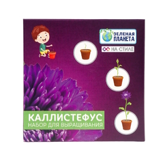 Набор для выращивания Sima-land Каллистефус китайский горшок, семена, почвосмесь (GKG021)