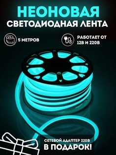 Неоновая лента светодиодная PROgadget подсветка 12V+ блок питания на 220В 5м бирюзовый