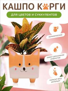 Кашпо в виде корги ZeepDeep 958607_7