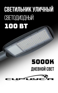 Светильник светодиодный консольный Сириус А Cruiser-2 100Вт 5000К 11000Лм IP67