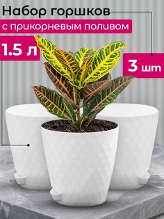 Горшок для цветов с пристежным поддоном Tiko Home Румба 1,5 л белый 3 шт.