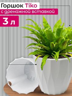Кашпо для цветов горшок Tiko Home Румба с дренажной вставкой 3 л белый 1 штука 1318Tiko3л