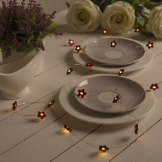 Гирлянда Нить Роса с насадками Цветок Luazon Lighting 3667518 2 м свечение тёплое белое