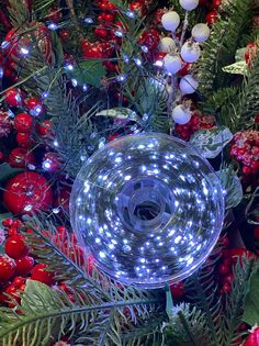 Гирлянда нить роса Catena C100W 100м. 1000 LED белый холодный