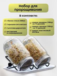Набор для проращивания микрозелени в банке с крышкой-сито Паприка-Корица 300478/2