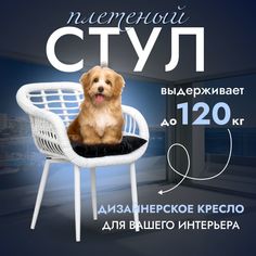 Садовое кресло, Кресло для дома, Стул из искусственного ротанга Трубки 1 шт, Белый Stuler