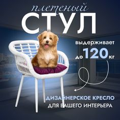 Садовое кресло, Кресло для дома, Стул из искусственного ротанга Трубки 1 шт, Белый Stuler