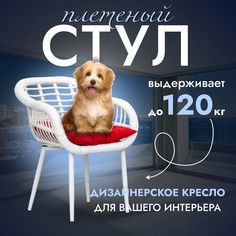 Садовое кресло, Кресло для дома, Стул из искусственного ротанга Трубки 1 шт, Белый Stuler