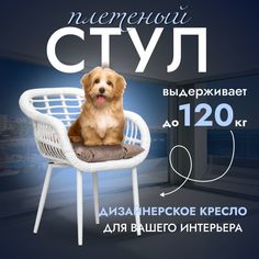 Садовое кресло, Кресло для дома, Стул из искусственного ротанга Трубки 1 шт, Белый Stuler