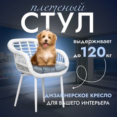 Садовое кресло, Кресло для дома, Стул из искусственного ротанга Трубки 1 шт, Белый Stuler