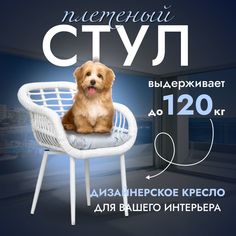 Садовое кресло, Кресло для дома, Стул из искусственного ротанга Трубки 1 шт, Белый Stuler