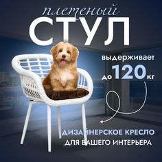 Садовое кресло, Кресло для дома, Стул из искусственного ротанга Трубки 1 шт, Белый Stuler