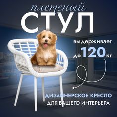 Садовое кресло, Кресло для дома, Стул из искусственного ротанга Трубки 1 шт, Белый Stuler