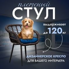 Садовое кресло, Кресло для дома, Стул из искусственного ротанга Трубки 1 шт, Венге Stuler