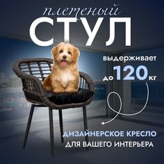 Садовое кресло, Кресло для дома, Стул из искусственного ротанга Трубки 1 шт, Венге Stuler