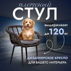Садовое кресло, Кресло для дома, Стул из искусственного ротанга Трубки 1 шт, Венге Stuler