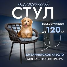 Садовое кресло, Кресло для дома, Стул из искусственного ротанга Трубки 1 шт, Венге Stuler